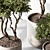 Tree in Pot 676 | Indoor 3D model small image 3