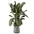 Gray Concrete Pot Indoor Plants 3D model small image 3