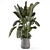 Gray Concrete Pot Indoor Plants 3D model small image 4