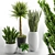 Set of Indoor Plants 3D model small image 1