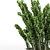 Set of Indoor Plants 3D model small image 2