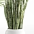 Set of Indoor Plants 3D model small image 3
