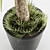 Set of Indoor Plants 3D model small image 4