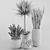Set of Indoor Plants 3D model small image 5