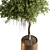 Cozy Home Green Tree Pot 3D model small image 2