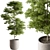 Tree in Pot: Indoor 712 3D model small image 1