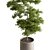 Tree in Pot: Indoor 712 3D model small image 2