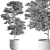 Tree in Pot: Indoor 712 3D model small image 4