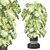 Modern Indoor Plants Collection Set 3D model small image 1