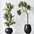 Modern Indoor Plant Set 47 3D model small image 3