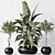 Modern Indoor Plant Set 47 3D model small image 4