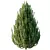 Height-varied Pin Bush Models 3D model small image 3