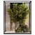 Glass Box Indoor Plant Display 3D model small image 1