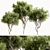 Faux Boxwood Tree Set 3 3D model small image 1