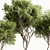 Faux Boxwood Tree Set 3 3D model small image 2