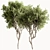 Faux Boxwood Tree Set 3 3D model small image 3