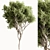 Faux Boxwood Tree Set 3 3D model small image 4