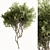 Faux Boxwood Tree Set 3 3D model small image 5