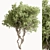 Faux Boxwood Tree Set 3 3D model small image 6