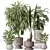 Indoor Plant Set Collection 3D 3D model small image 1