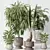 Indoor Plant Set Collection 3D 3D model small image 2