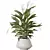 Indoor Plant Set Collection 3D 3D model small image 3