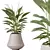 Indoor Plant Set Collection 3D 3D model small image 6