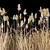 Wild Reed Plant 3D Model 3D model small image 1