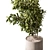 710 Tree in Pot, Indoor 3D model small image 2