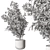 710 Tree in Pot, Indoor 3D model small image 4