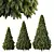 Trio Pin Tree 3D Models 3D model small image 1