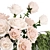 Elegant Rose Bouquet Set 3D model small image 2