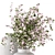 Dry Plants Bouquet Collection 3D 3D model small image 3