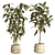 Modern Concrete Indoor Plant Set 3D model small image 2