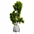 202,753 Poly Indoor Plant Model 3D model small image 3