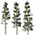 Pin Tree Collection 3D Models 3D model small image 3