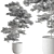 Green Oasis Tree in Pot 3D model small image 4