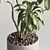 Contemporary Indoor Plant in Pot 3D model small image 4