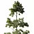 Variety Pin Tree Collection - 4 Models 3D model small image 2