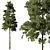 Pin Tree 07 Collection: Detailed 3D Models 3D model small image 2