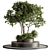 Cityscape Oasis Bench Plant Display 3D model small image 1