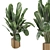 Wooden Pot Indoor Plant Set 3D model small image 2