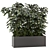 Indoor Ficus in Black Pot - 3D Model 3D model small image 1