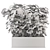 Indoor Ficus in Black Pot - 3D Model 3D model small image 5