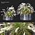 Ornamental Grass Duo Set 3D model small image 1