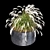 Ornamental Grass Duo Set 3D model small image 2