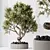 Modern Indoor Plant Trio Set 3D model small image 6