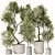 Diverse Indoor Plant Set 3D 3D model small image 1