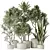 Variety of 6 Indoor Plant Models 3D model small image 1