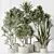 Variety of 6 Indoor Plant Models 3D model small image 2